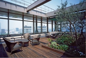 Roof Garden
