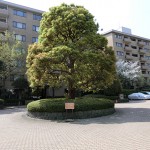  | HIROO GARDEN HILLS M Exterior photo 04