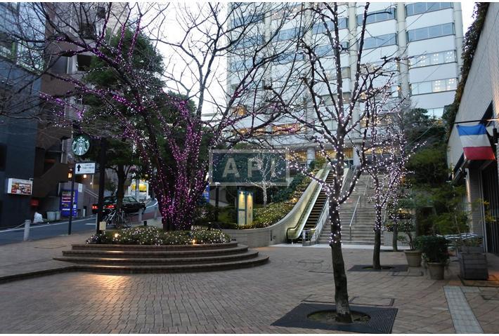  | AKASAKA TAMEIKE TOWER RESIDENCE Exterior photo 09