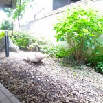  | HIROO PARK HILLS Exterior photo 09