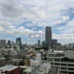  | AOYAMA DAIICHI MANSIONS Interior photo 20