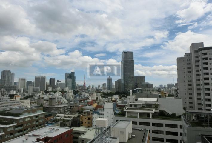  | AOYAMA DAIICHI MANSIONS Interior photo 20