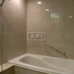  | AOYAMA DAIICHI MANSIONS Interior photo 10