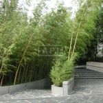 Open Space | AOYAMA DAIICHI MANSIONS Exterior photo 02
