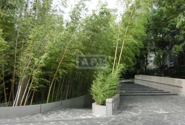 Open Space | AOYAMA DAIICHI MANSIONS Exterior photo 02