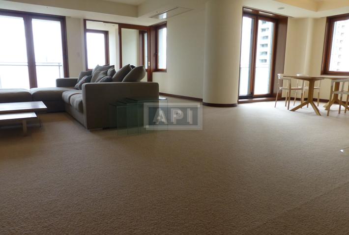  | AOYAMA DAIICHI MANSIONS Interior photo 02