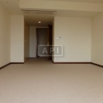  | AOYAMA DAIICHI MANSIONS Interior photo 12