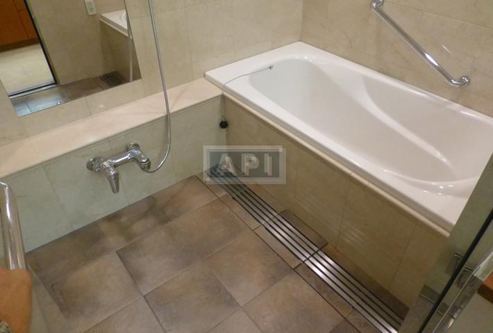  | AOYAMA DAIICHI MANSIONS Interior photo 16