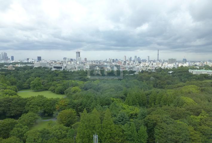  | AOYAMA DAIICHI MANSIONS Interior photo 20