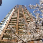 Exterior | ROPPONGI HILLS RESIDENCE C TOWER Exterior photo 03