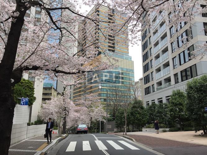  | HOMAT VISCOUNT Exterior photo 02