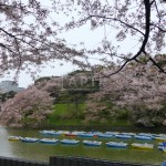 Chidorigafuchi | CHIDORIGAFUCHI HOUSE Exterior photo 16
