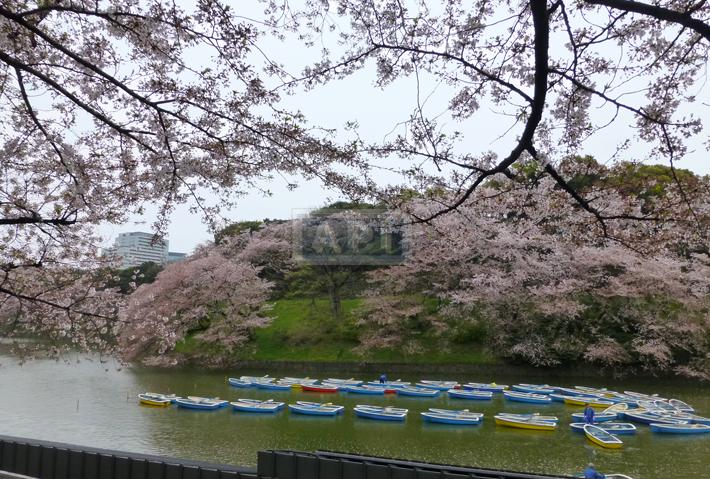  | HAMILTON PLACE Exterior photo 10