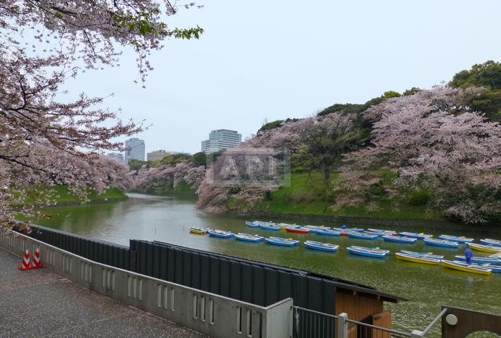 Chidorigafuchi | CHIDORIGAFUCHI HOUSE Exterior photo 14