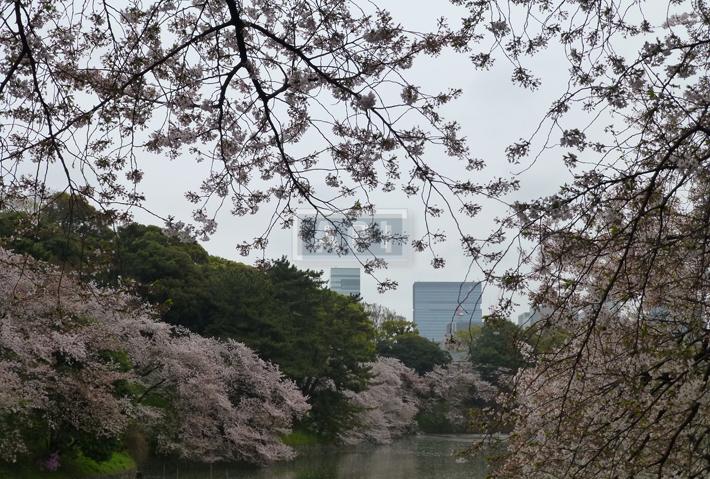 Chidorigafuchi | CHIDORIGAFUCHI HOUSE Exterior photo 17