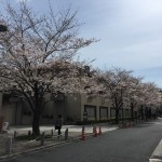  | MOTO-AZABU HILLS FOREST TOWER Exterior photo 13
