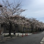  | MOTO-AZABU HILLS FOREST TOWER Exterior photo 12