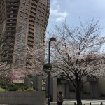  | MOTO-AZABU HILLS FOREST TOWER Exterior photo 10