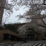  | ARK TOWERS EAST Exterior photo 06