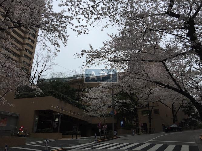  | ARK TOWERS EAST Exterior photo 06