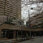  | ARK TOWERS EAST Exterior photo 08