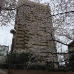  | ARK TOWERS EAST Exterior photo 09