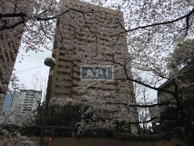  | ARK TOWERS EAST Exterior photo 09