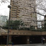  | ARK TOWERS EAST Exterior photo 10