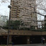  | ARK TOWERS EAST Exterior photo 11