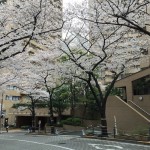  | ARK TOWERS EAST Exterior photo 12