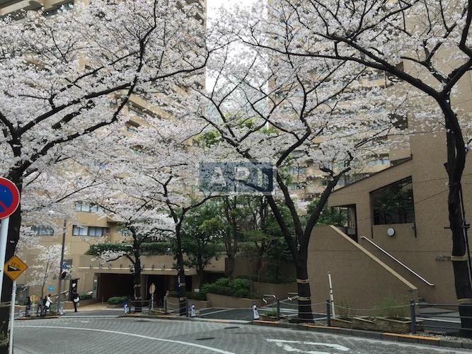  | ARK TOWERS EAST Exterior photo 12