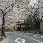  | ARK TOWERS EAST Exterior photo 13