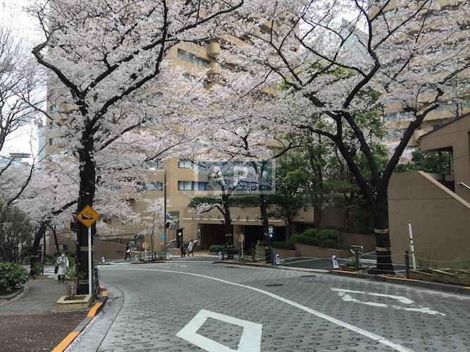  | ARK TOWERS EAST Exterior photo 13