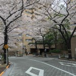  | ARK TOWERS EAST Exterior photo 14