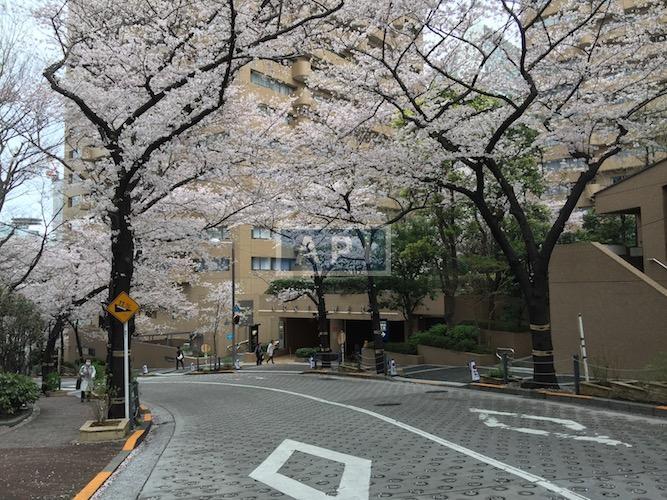  | ARK TOWERS EAST Exterior photo 14