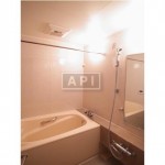  | HIROO PARK HILLS Interior photo 07