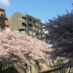  | HOUSE NAKA-MEGURO Exterior photo 16