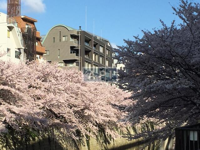 | HOUSE NAKA-MEGURO Exterior photo 16