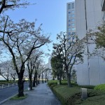  | SUMIDA RIVER SIDE TOWER Exterior photo 20