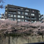  | HOUSE NAKA-MEGURO Exterior photo 17