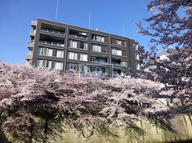  | HOUSE NAKA-MEGURO Exterior photo 14