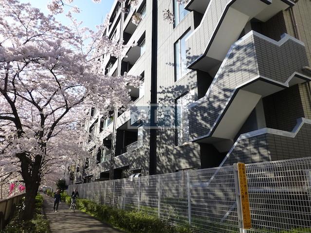  | HOUSE NAKA-MEGURO Exterior photo 15