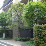 Exterior | ICHIGAYA ICHOZAKA APARTMENT Exterior photo 03