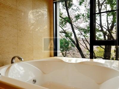  | VENEO MINAMI-AZABU Interior photo 06