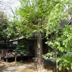  | CORT KAGACHO B Exterior photo 04