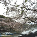  | THE PARKHOUSE GRAN CHIDORIGAFUCHI Exterior photo 18