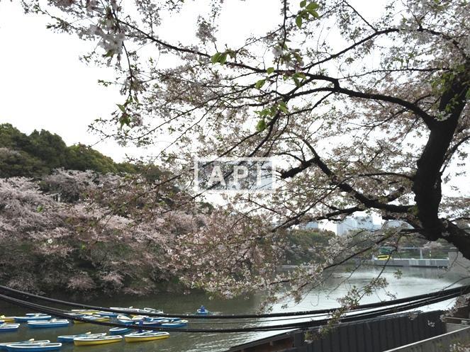  | THE PARKHOUSE GRAN CHIDORIGAFUCHI Exterior photo 18