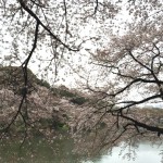  | THE PARKHOUSE GRAN CHIDORIGAFUCHI Exterior photo 14