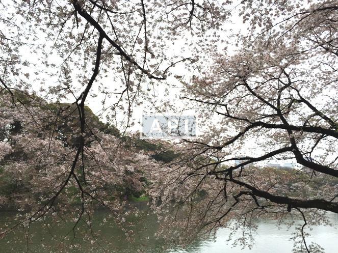  | THE PARKHOUSE GRAN CHIDORIGAFUCHI Exterior photo 14