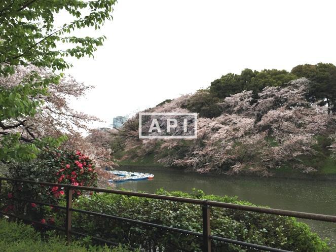  | THE PARKHOUSE GRAN CHIDORIGAFUCHI Exterior photo 15